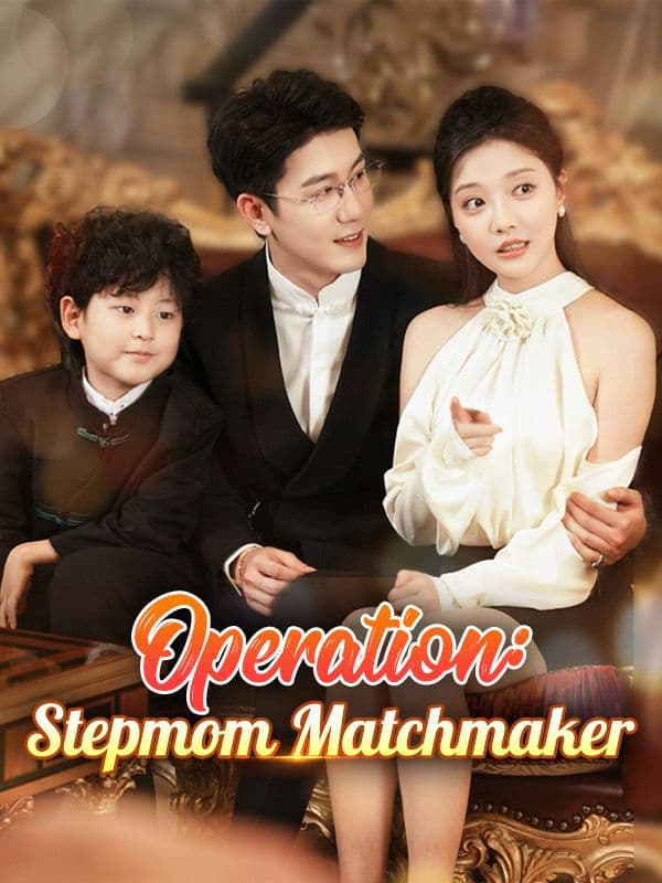 Operation Stepmom Matchmaker