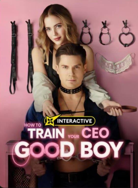 How to Train Your CEO Good Boy
