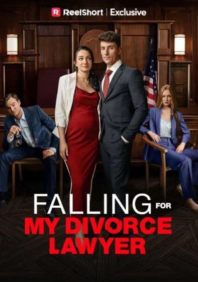 Falling For My Divorce Lawyer