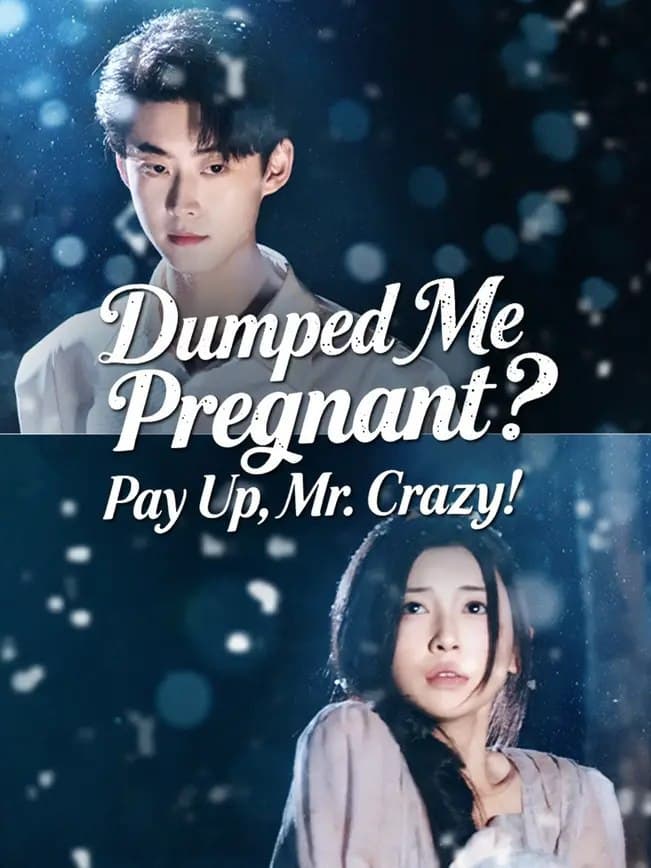 Dumped Me Pregnant Pay Up Mr. Crazy