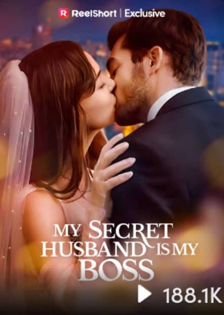 My Secret Husband is My Boss