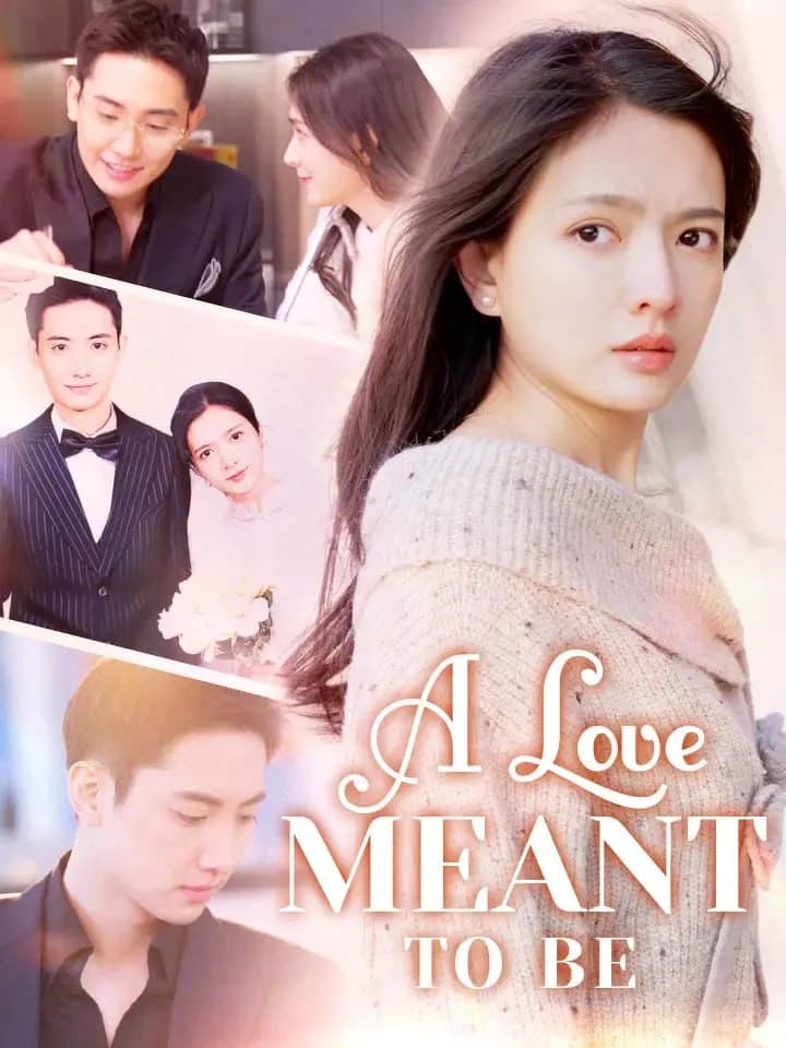 A Love Meant To Be