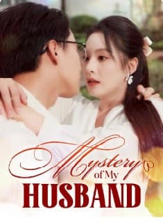 Mystery of My Husband