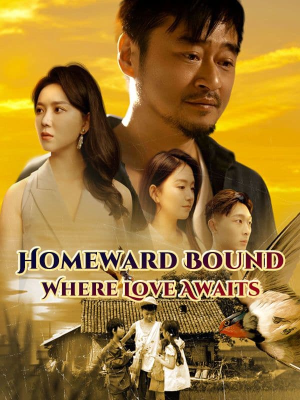 Homeward Bound: Where Love Awaits