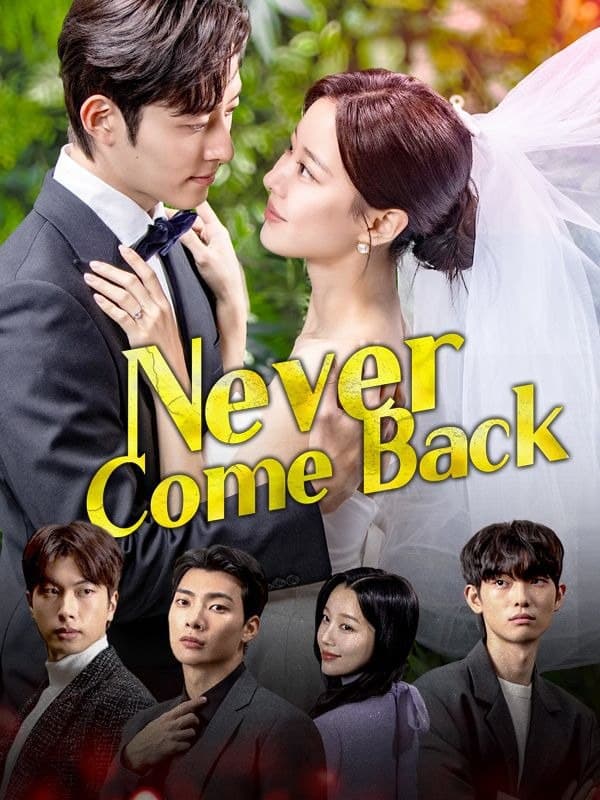 Never Come Back