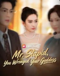 Mr. Stupid, You Wronged Your Goddess