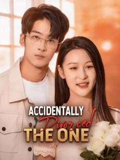 Accidentally Divorced the One