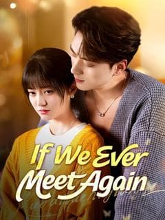 If We Ever Meet Again