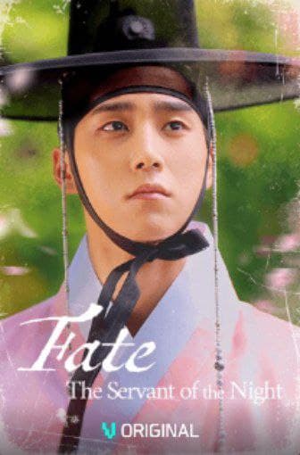 Fate The Servant of the Night