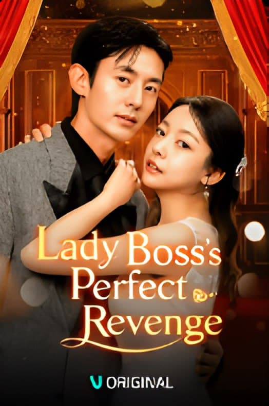 Lady Boss's Perfect Revenge