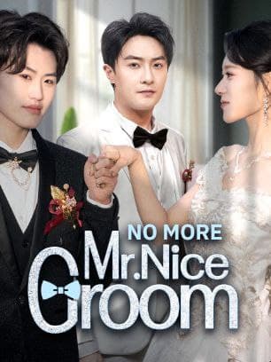 NO MORE Mr. Nice Groom