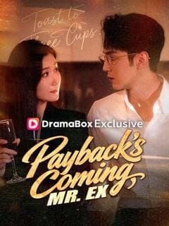 Payback's Coming, Mr. Ex (DUBBED)