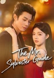 The Mr. Sylvester Guide