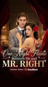 One Night Flame with Me and Mr. Right