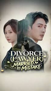 Divorce Lawyer Married by Mistake