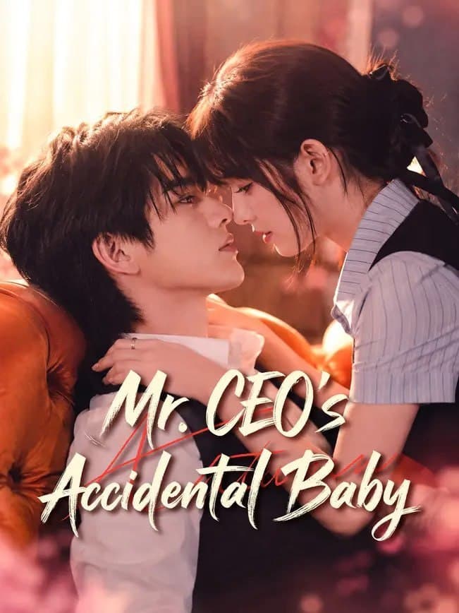 Mr CEO's Accidental Baby