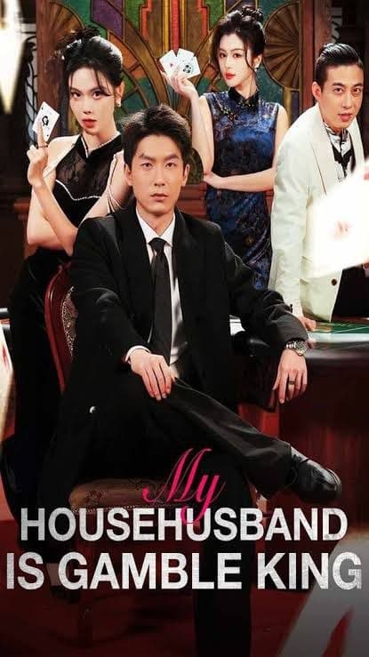 My Househusband is Gamble King - DUBBED