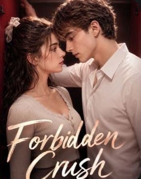 Forbidden Crush